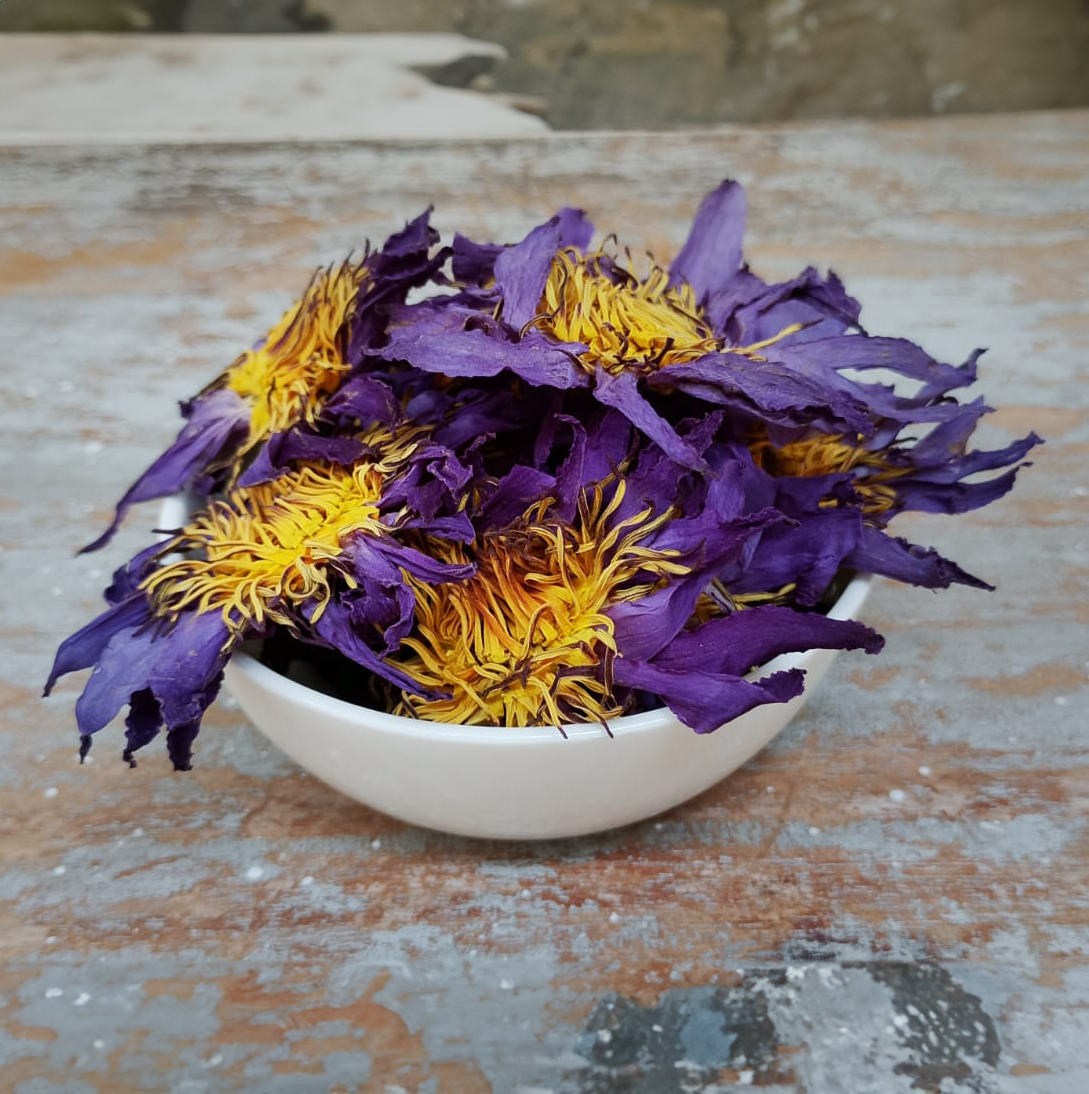 Dried Blue Lotus Flower (Nymphaea caerulea)