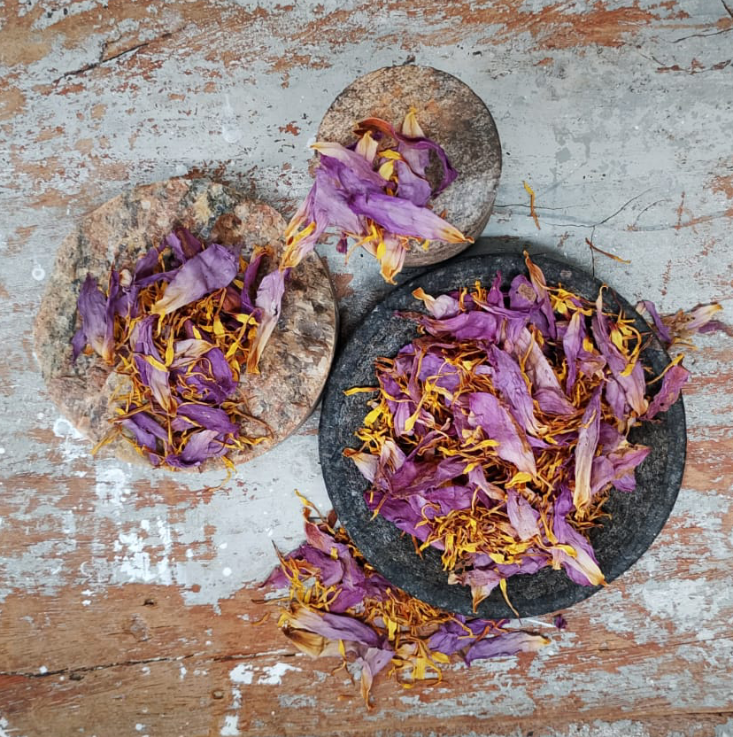 Dried Blue Lotus Flower Petals (Nymphaea caerulea)