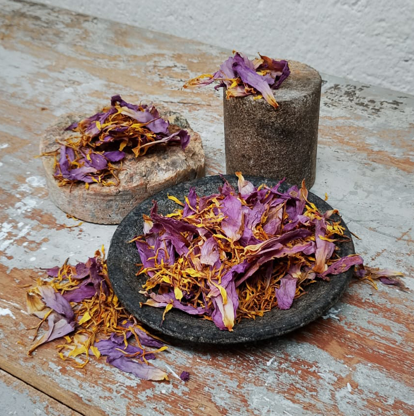 Dried Blue Lotus Flower Petals (Nymphaea caerulea)