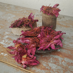Organic Dried Red Lotus Flower (Nymphaea rubra) – For Tea, Ceremony & Botanical Wellness
