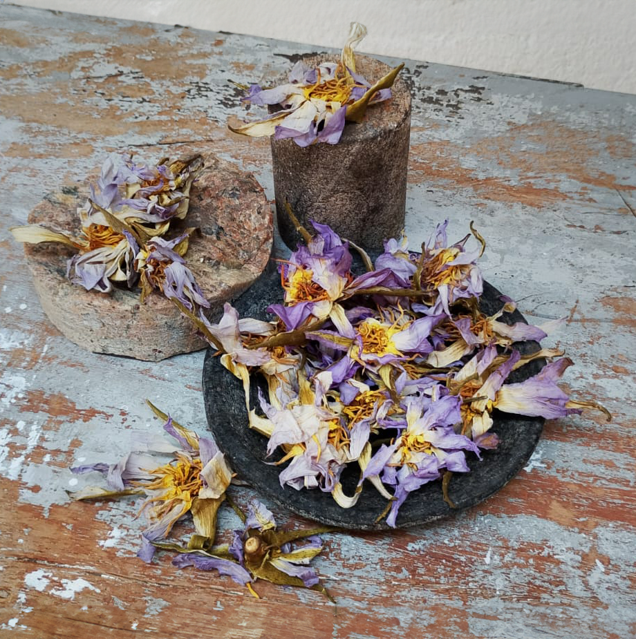 Dried Egyptian Blue Lotus Flower