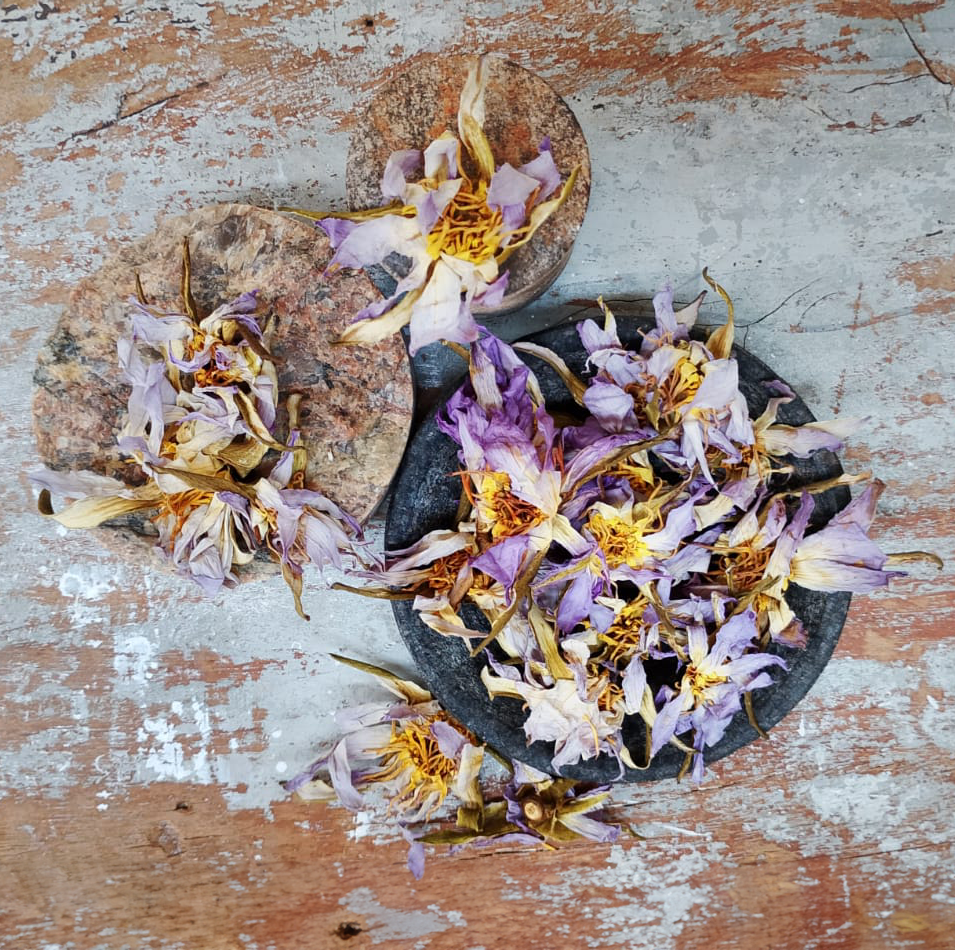 Organic Dried Egyptian Blue Lotus Flower (Nymphaea nouchali) – For Tea, Calm & Daytime Clarity