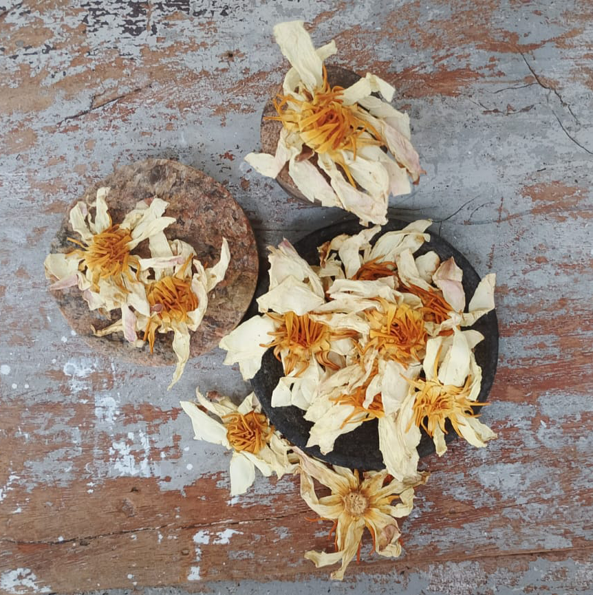 Organic Dried White Lotus Flower (Nymphaea lotus) – For Tea, Evening Rituals & Spiritual Calm