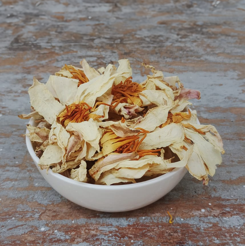 Dried White Lotus Flower (Nymphaea lotus)
